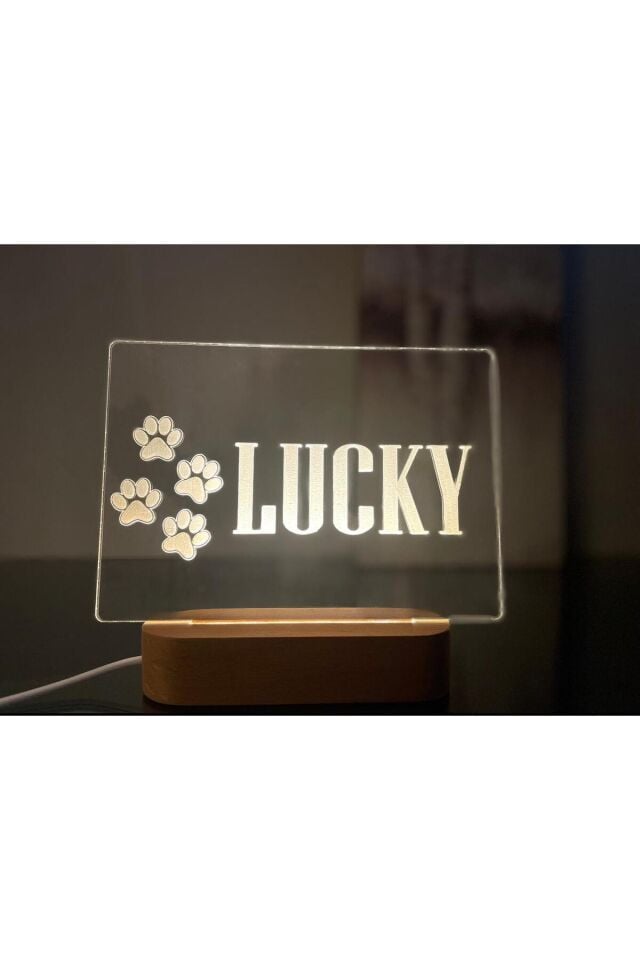 İSME ÖZEL KEDİ KÖPEK 3 D GECE LAMBASI HEDİYELİK ARKDAŞA DOĞUM GÜNÜ
